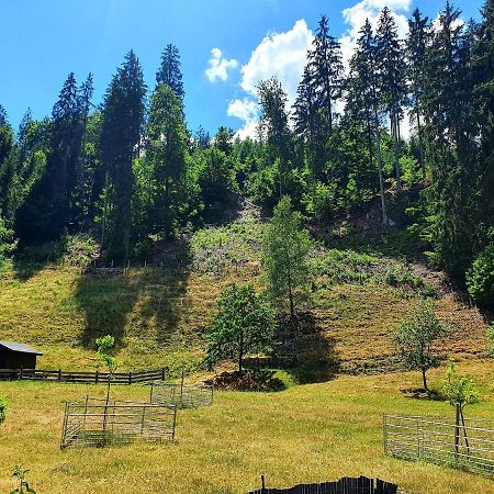 Ferienwohnung Bei Vogel Geroldsgrun Exterior foto